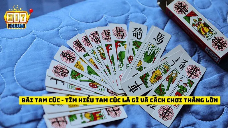 Bài Tam Cúc - Tìm Hiểu Tam Cúc Là Gì Và Cách Chơi Thắng Lớn